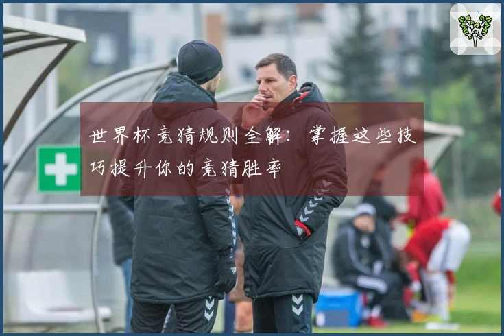 世界杯竞猜规则全解：掌握这些技巧提升你的竞猜胜率