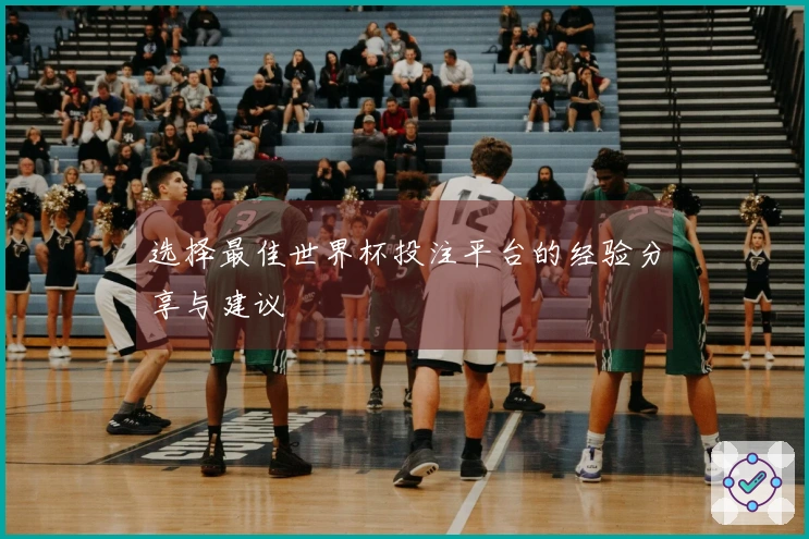 选择最佳世界杯投注平台的经验分享与建议