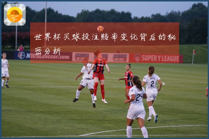 世界杯买球投注赔率变化背后的秘密分析