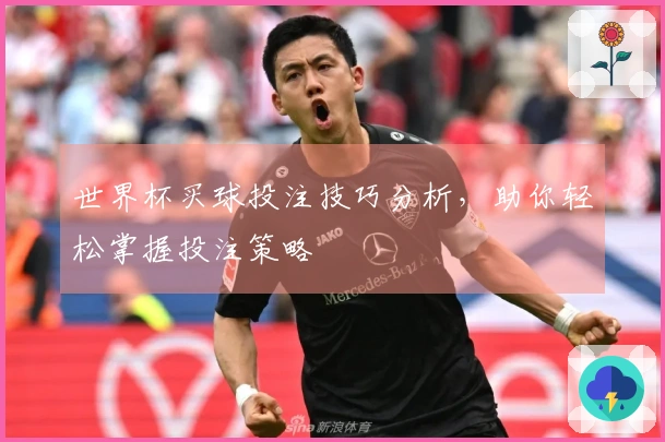 世界杯买球投注技巧分析，助你轻松掌握投注策略