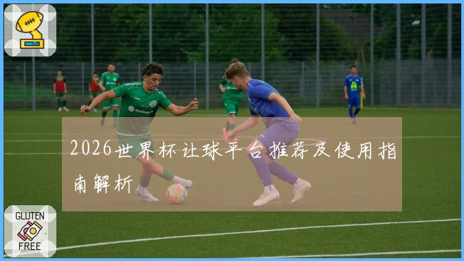2026世界杯让球平台推荐及使用指南解析
