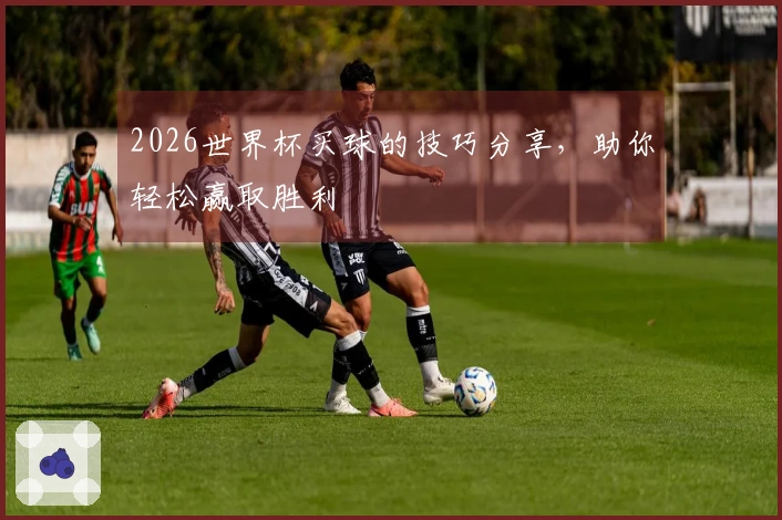2026世界杯买球的技巧分享，助你轻松赢取胜利