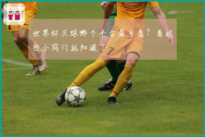 世界杯买球哪个平台最可靠？看这些小窍门就知道了